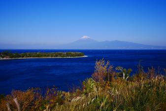 大瀬から望む富士山